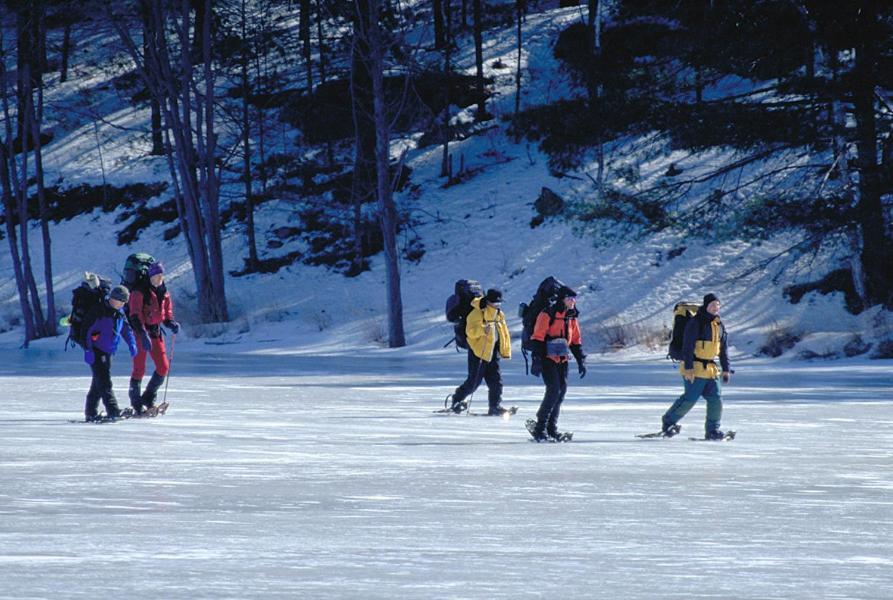 Taboo Muskoka Hotel Gravenhurst Ngoại thất bức ảnh