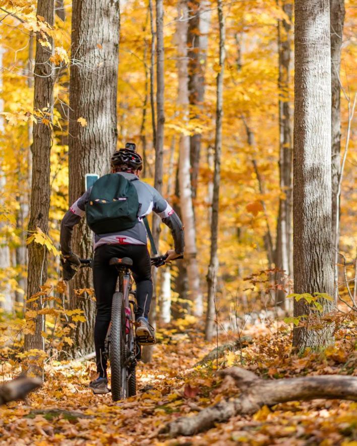 Taboo Muskoka Hotel Gravenhurst Ngoại thất bức ảnh